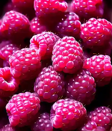 Raspberries, red fruit